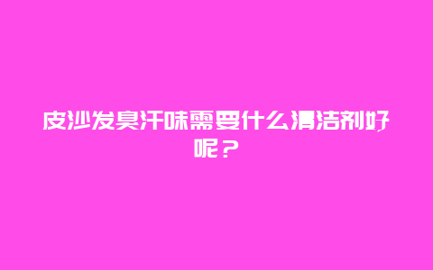 皮沙发臭汗味需要什么清洁剂好呢？