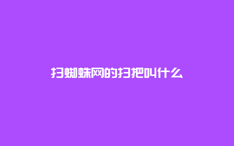 扫蜘蛛网的扫把叫什么