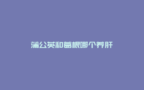 蒲公英和葛根哪个养肝