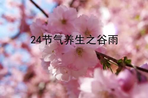 24节气养生之谷雨_http://www.365jiazheng.com_健康护理_第1张