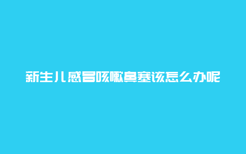 新生儿感冒咳嗽鼻塞该怎么办呢