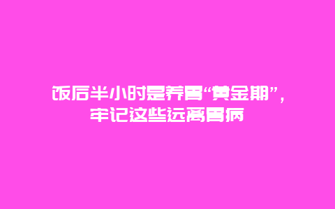 饭后半小时是养胃“黄金期”，牢记这些远离胃病