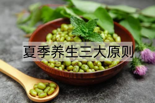 夏季养生三大原则_http://www.365jiazheng.com_健康护理_第1张