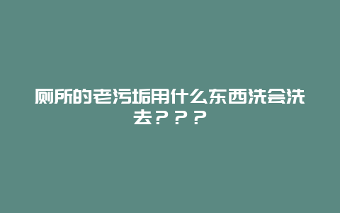 厕所的老污垢用什么东西洗会洗去？？？_http://www.365jiazheng.com_保洁卫生_第1张