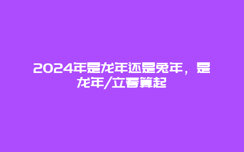 2024年是龙年还是兔年，是龙年/立春算起