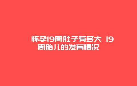 ​怀孕19周肚子有多大 19周胎儿的发育情况