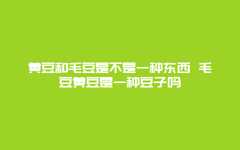 黄豆和毛豆是不是一种东西 毛豆黄豆是一种豆子吗