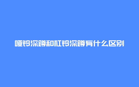 哑铃深蹲和杠铃深蹲有什么区别_http://www.365jiazheng.com_健康护理_第1张