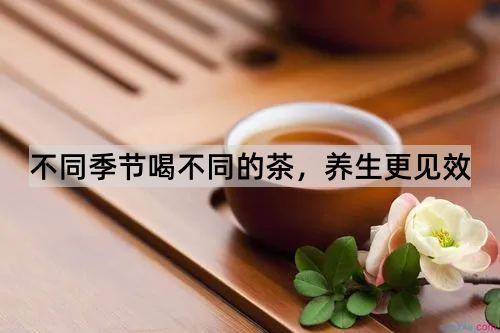 不同季节喝不同的茶，养生更见效_http://www.365jiazheng.com_健康护理_第1张