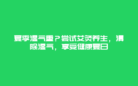 夏季湿气重？尝试艾灸养生，清除湿气，享受健康夏日