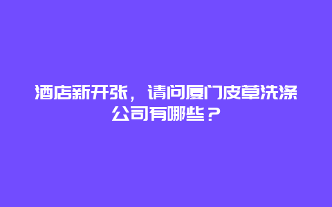 酒店新开张，请问厦门皮草洗涤公司有哪些？