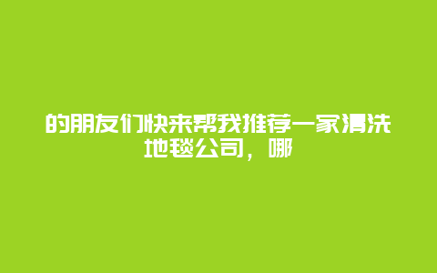 的朋友们快来帮我推荐一家清洗地毯公司，哪