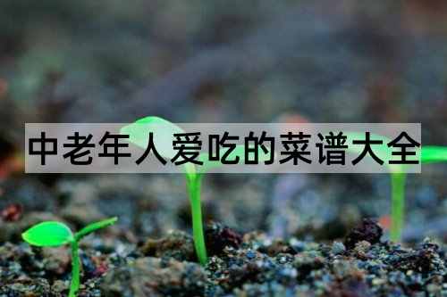 中老年人爱吃的菜谱大全_http://www.365jiazheng.com_健康护理_第1张