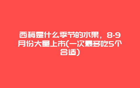 西梅是什么季节的水果，8-9月份大量上市(一次最多吃5个合适)