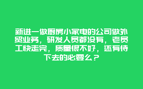 新进一做厨房小家电的公司做外贸业务，研发人员都没有，老员工快走完，质量很不好，还有待下去的必要么？