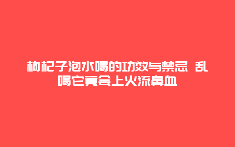 枸杞子泡水喝的功效与禁忌 乱喝它竟会上火流鼻血_http://www.365jiazheng.com_健康护理_第1张