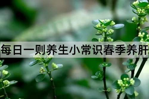 每日一则养生小常识春季养肝_http://www.365jiazheng.com_健康护理_第1张