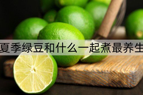 夏季绿豆和什么一起煮最养生_http://www.365jiazheng.com_健康护理_第1张