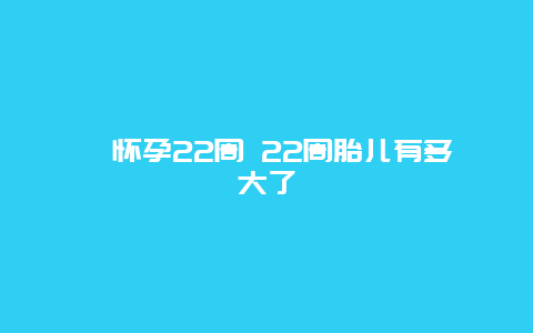 ​怀孕22周 22周胎儿有多大了