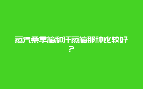 蒸汽桑拿箱和汗蒸箱那种比较好?