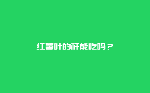 红薯叶的杆能吃吗？