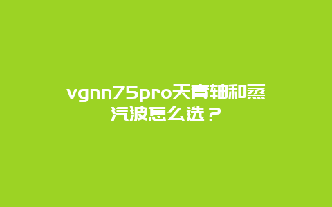 vgnn75pro天青轴和蒸汽波怎么选？