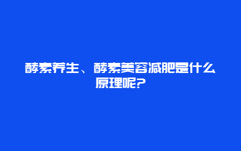 酵素养生、酵素美容减肥是什么原理呢?