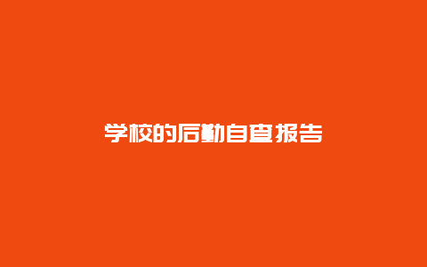 学校的后勤自查报告