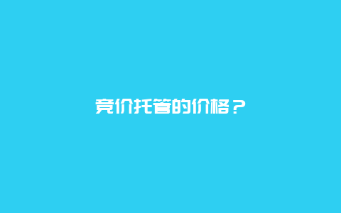 竞价托管的价格？