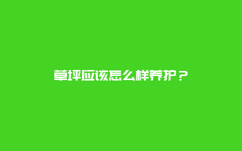 草坪应该怎么样养护？