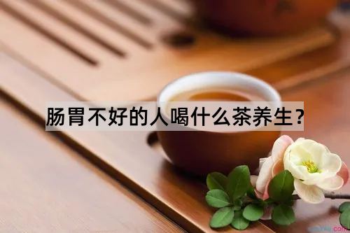 肠胃不好的人喝什么茶养生？_http://www.365jiazheng.com_健康护理_第1张