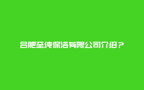 合肥至纯保洁有限公司介绍？