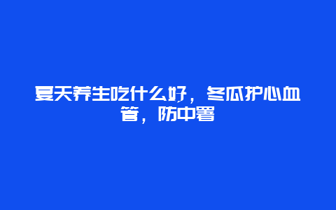 夏天养生吃什么好，冬瓜护心血管，防中署_http://www.365jiazheng.com_健康护理_第1张