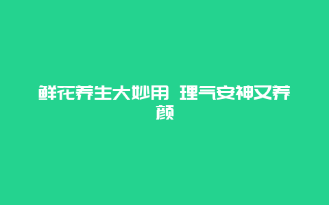 鲜花养生大妙用 理气安神又养颜_http://www.365jiazheng.com_健康护理_第1张