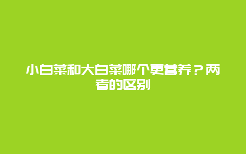 小白菜和大白菜哪个更营养？两者的区别