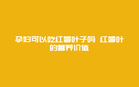 孕妇可以吃红薯叶子吗 红薯叶的营养价值