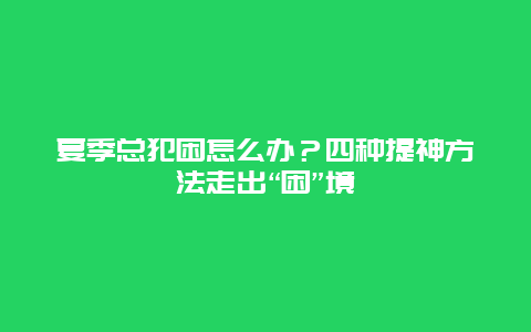 夏季总犯困怎么办？四种提神方法走出“困”境