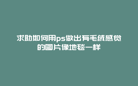 求助如何用ps做出有毛绒感觉的图片像地毯一样