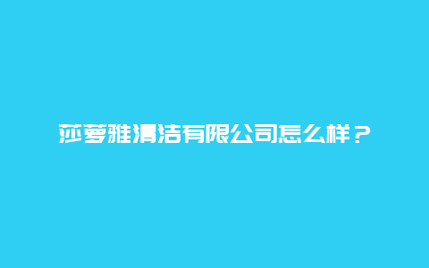 莎萝雅清洁有限公司怎么样？