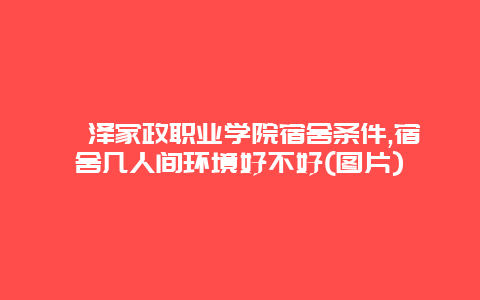 菏泽家政职业学院宿舍条件,宿舍几人间环境好不好(图片)