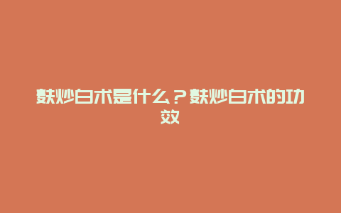 麸炒白术是什么？麸炒白术的功效_http://www.365jiazheng.com_健康护理_第1张