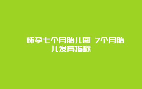 ​怀孕七个月胎儿图 7个月胎儿发育指标