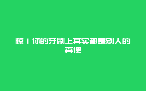 惊！你的牙刷上其实都是别人的粪便