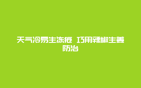 天气冷易生冻疮 巧用辣椒生姜防治