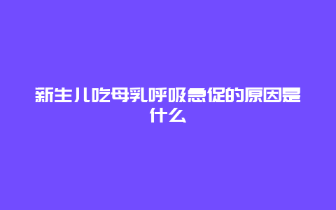 新生儿吃母乳呼吸急促的原因是什么