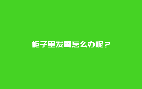 柜子里发霉怎么办呢？_http://www.365jiazheng.com_保洁卫生_第1张