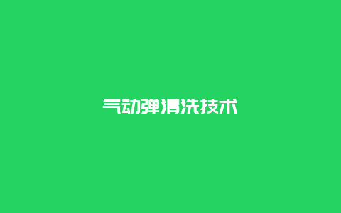 气动弹清洗技术_http://www.365jiazheng.com_保洁卫生_第1张