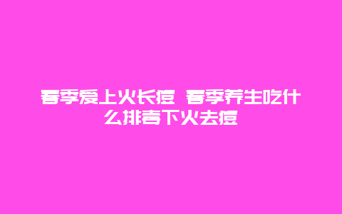 春季爱上火长痘 春季养生吃什么排毒下火去痘_http://www.365jiazheng.com_健康护理_第1张