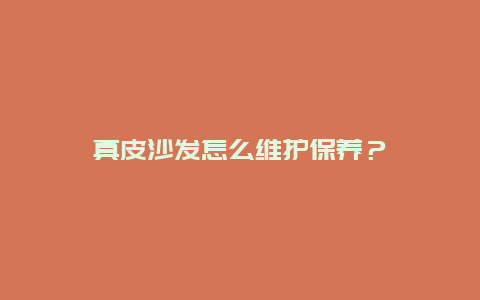 真皮沙发怎么维护保养？