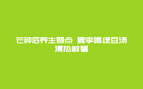 芒种后养生要点 夏季喝绿豆汤清热解暑